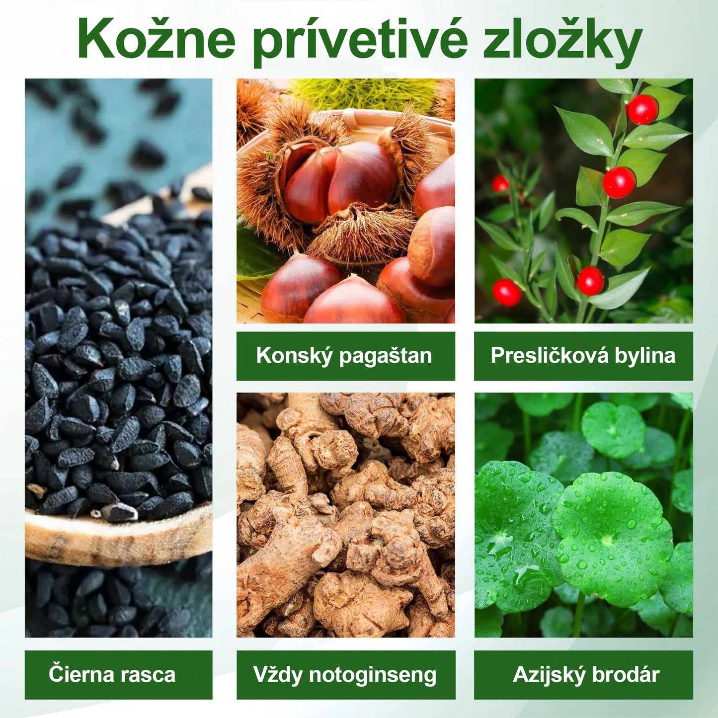 Dorina® Bylinný krém na zmiernenie opuchov s čiernou rascou.